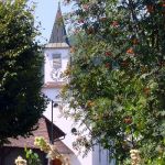 23_Kapelle_im_Sommerflor